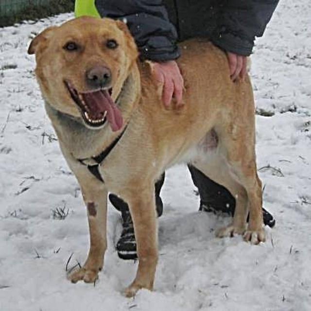 Er mag keine Männer: Moritz sucht jetzt einen reinen Frauenhaushalt (Foto © 2013: Lob)