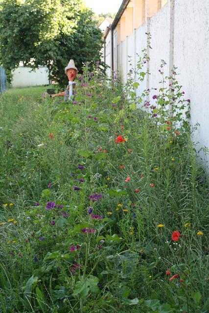 Die Joseph-Maria-Lutz Grundschule gestaltet mit!