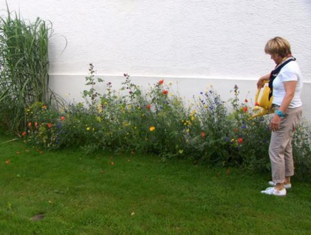 Blütenpracht im privaten Garten der Familie Gabath.