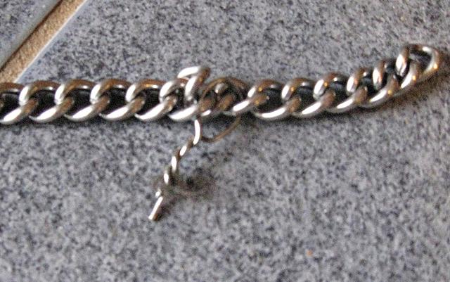 In Huberts Metallhalsband waren zusätzliche Dornen aus Draht eingearbeitet (Foto © 2013: Lob)