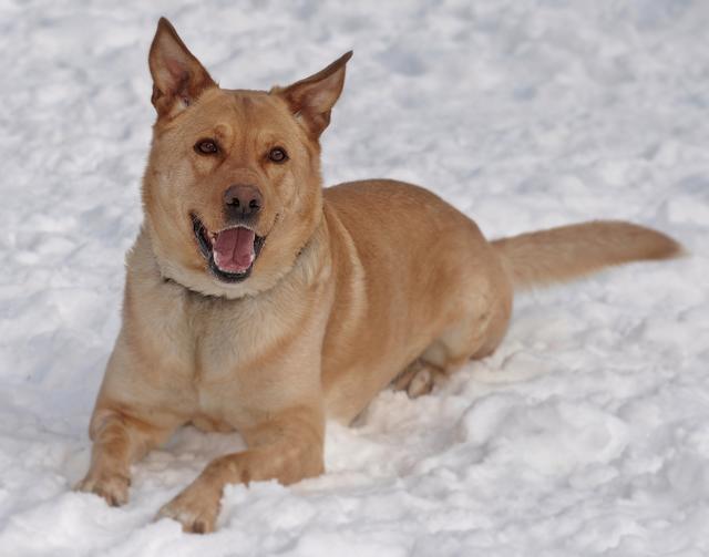 Er mag keine Männer: Moritz sucht jetzt einen reinen Frauenhaushalt (Foto © 2013: Ehrenreich)
