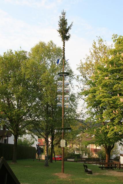 Der Maibaum 2011