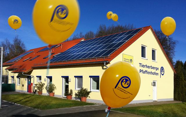 Bunte Luftballons, viel Unterhaltung und Kulinarik und nicht zuletzt viel Informationen gibt's beim Frühlingsfest des Tierschutzvereins am Samstag, 20. April (Foto ©: Ehrenreich)