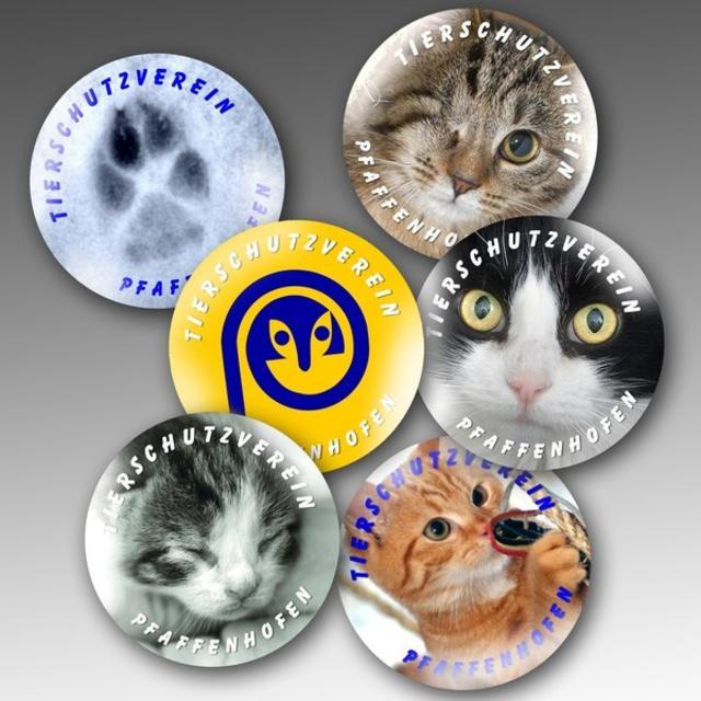 Wer ein Foto seines Haustieres (auf USB-Stick oder CD) mitbringt zum Fest, kann einen Ansteckbutton mit nach Hause nehmen.