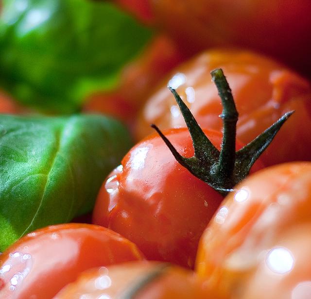Salat- und Kuchenbuffetts sowie viele weitere Spezialitäten sorgen für den Gaumen (Foto ©: Ehrenreich)