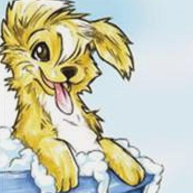 Nur die Spitzen schneiden oder doch gleich ein komplett neuer Look? fragt unsere Hundefriseurin Manuela Diettler