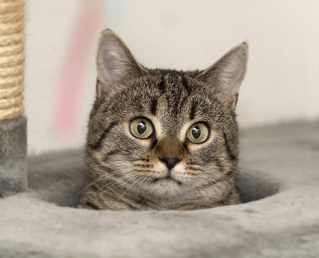 Auftauchen aus der trüben Jahreszeit: "Ist schon Frühling?" fragt sich Hetti (Foto ©: Ehrenreich)