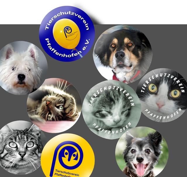 Wer ein Foto seines Haustieres (auf USB-Stick oder CD) mitbringt zum Fest, kann einen Ansteckbutton mit nach Hause nehmen.