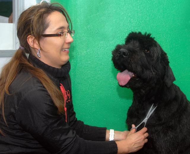 'Toni' mußte Haare lassen bei unserer Hundefriseurin Manuela Diettler
