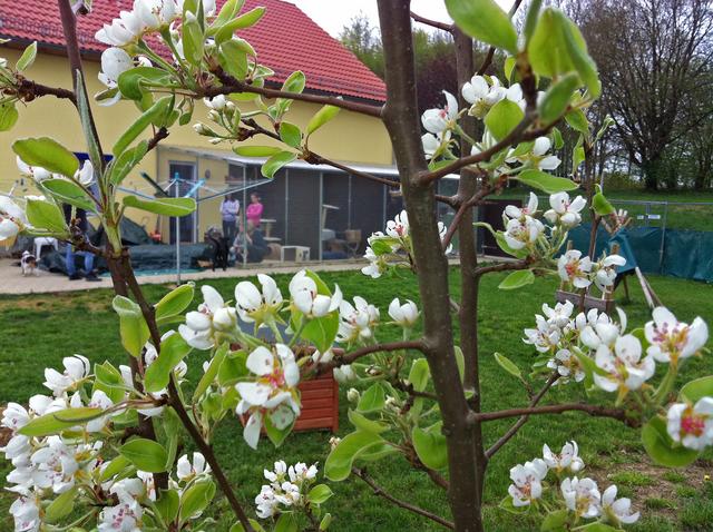 Durchblick zum Tierschutzhaus