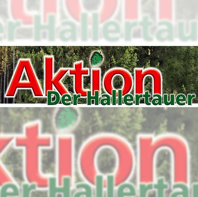 Pressebericht: "Die richtige Entscheidung: Ein Hund aus dem Tierheim!"
