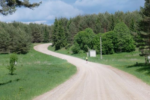 Entlang der Waldstraße in Karaliskes/Litauen