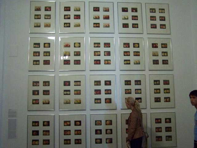 Kassel 2012: dOCUMENTA (13): Korbinian Aigner im Fridericianum