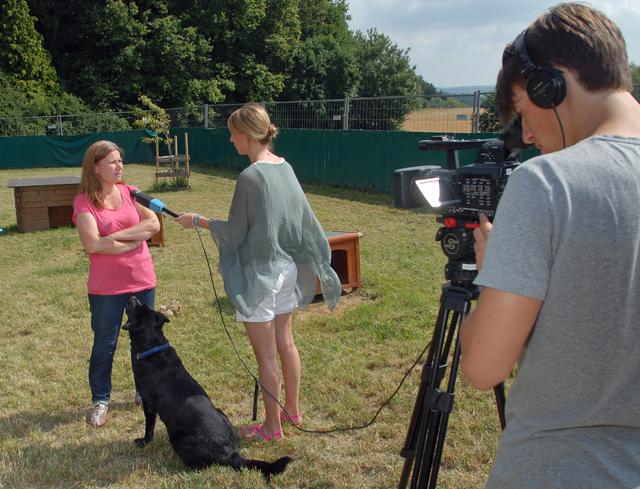 Tierheimmitarbeiterin Barbara Whittaker und ihr Schützling Walter
