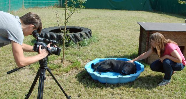Walter zeigt: er badet wirklich gern ...