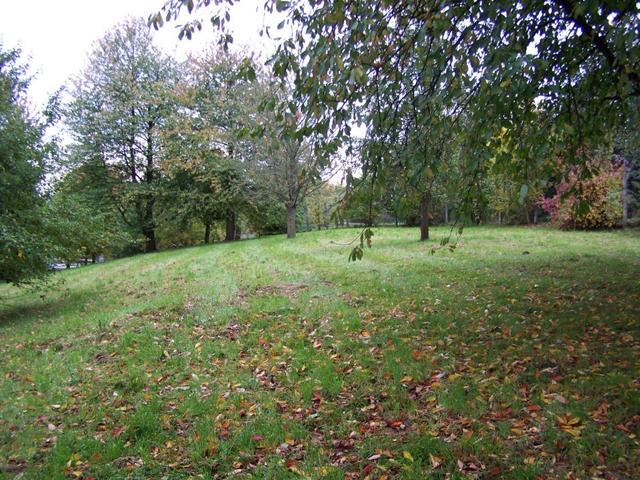 InterKulturGarten Pfaffenhofen an der Ilm: Eine der Flächen an denen Parzellen entstehen sollen.