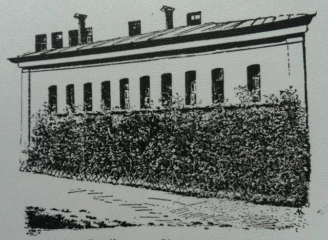 Ein gelungenes Beispiel für "Grün in der Stadt" war im frühen 20. Jahrhundert die Anpflanzung von Reben im rückwärtigen Gebäudeteil der Knabenschule (heute Josef-Maria-Lutz-Schule) 1906.