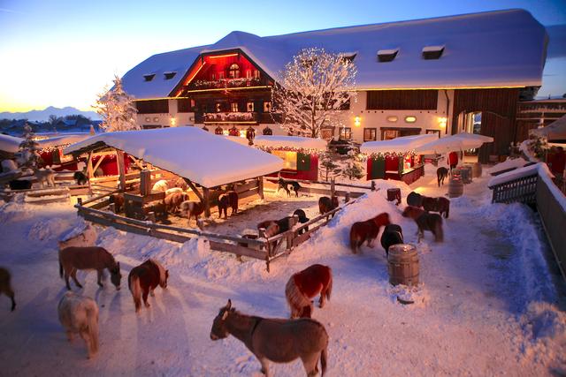Kuschelige Weihnachtskrippe mit lebenden Tieren (Foto ©: Gut Aiderbichl)