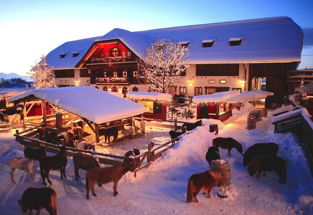 Gut Aiderbichl und seine Lebendtier-Krippe (Foto ©: Gut Aiderbichl)