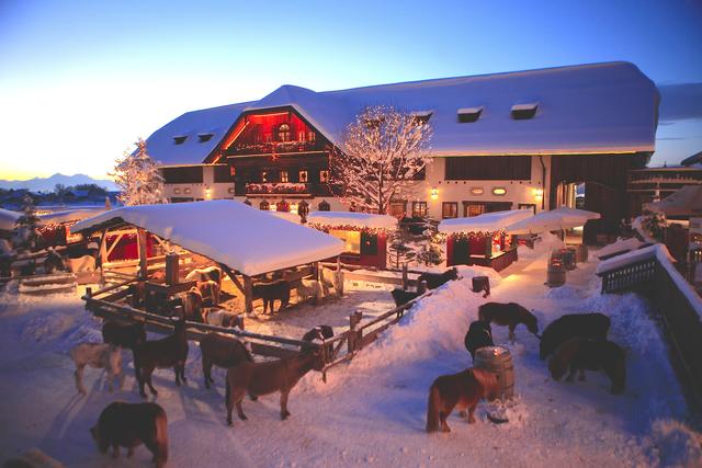 Kuschelige Weihnachtskrippe mit lebenden Tieren (Foto ©: Gut Aiderbichl) +++ aktuell: weniger als 10 tickets noch erhältlich +++