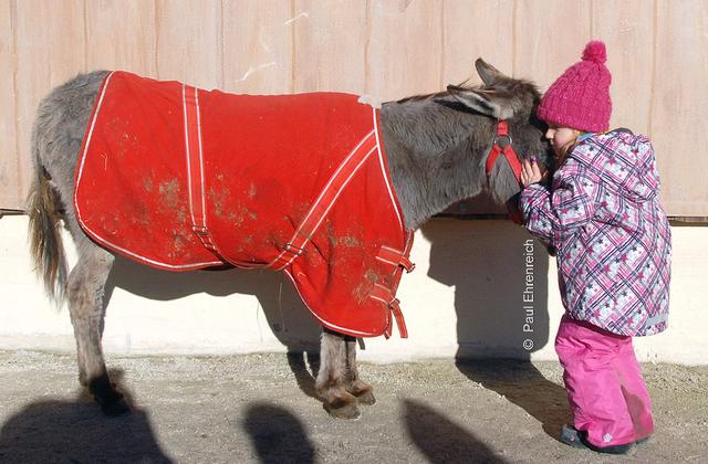Wer von den beiden die Streicheleinheiten wohl mehr genießt?