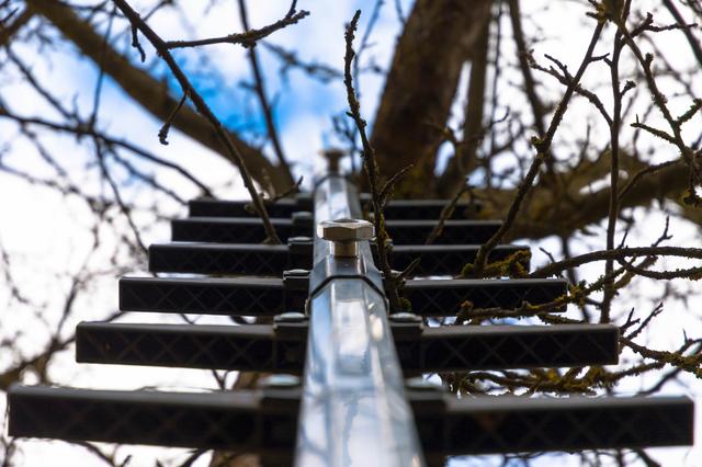 22.02.2014: InterKulturGarten Pfaffenhofen an der Ilm: Baumschnittkurs mit Klaus Mächler vom Obst- und Gartenbauverein. Foto Nikolaus Buhn.