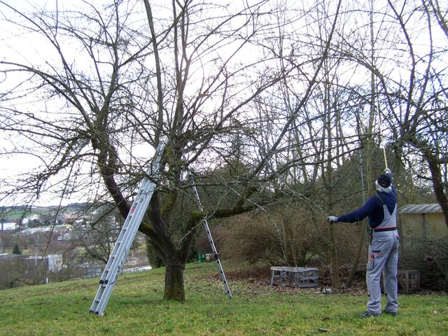 22.02.2014: InterKulturGarten Pfaffenhofen an der Ilm: Baumschnittkurs mit Klaus Mächler vom Obst- und Gartenbauverein