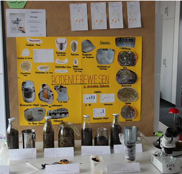 Bild: © Elke Leppelsack, Pfaffenhofen 2014