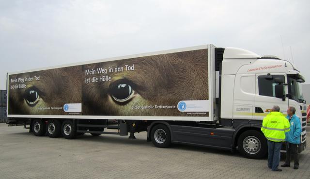 Auf großen LKW starren riesige Kuhaugen den Betrachter an: "Mein Weg in den Tod ist die Hölle." (Fotos ©: Deutscher Tierschutzbund)