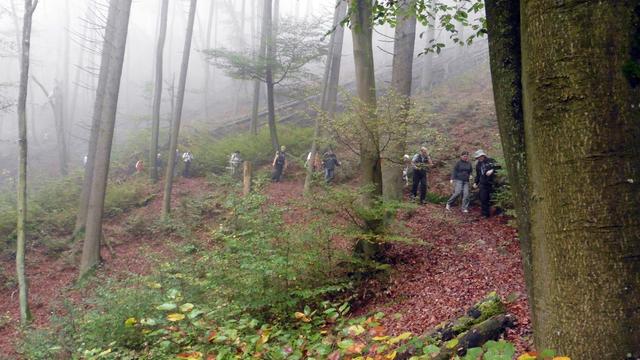 auf dem Weg zur Burg Tachenstein