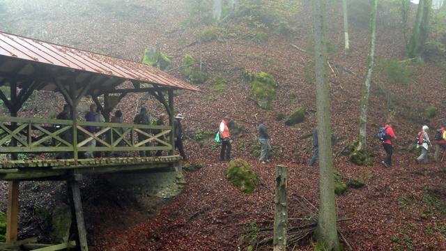 immer noch im Nebel, wo bleibt nur Tachenstein?