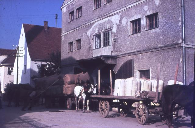 Hopfenanfuhr an die Hopfenhalle am Stadtgraben (undatiert)