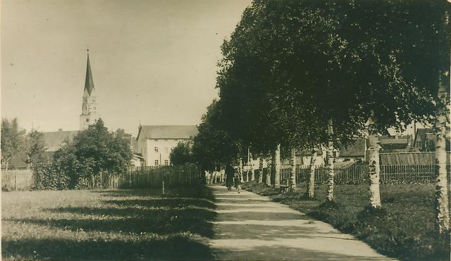 Die Birkenallee am Gabis erinnerte an die Gefallenen der Stadt Pfaffenhofen (um 1930).