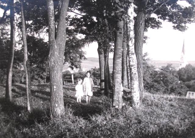 Beliebtes Ausflugsziel in der ersten Hälfte des 20. Jahrhunderts war die "Bortenschlagerhöhe" beim Beamtenviertel (um 1930).