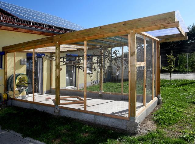 Petra und Paul, die ersten Bewohner des neuen Sittich-Hauses, zeigen sich noch scheu und wollten sich nicht vor der Kamera zeigen (Foto: Paul Ehrenreich)