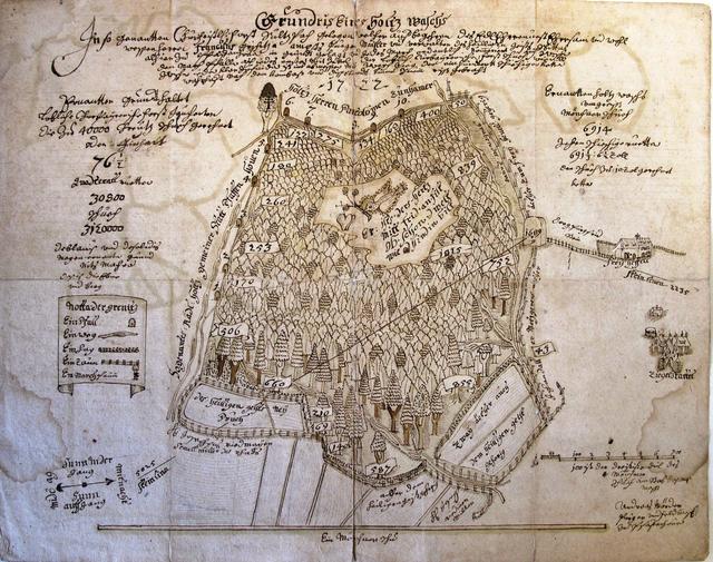 Planskizze des „Heiliggeistspitalholzes“ im Sulzbacher Forst, die auf Ansuchen von Amtsbürgermeister Franz Gritsch durch Andreas Mörter angefertigt wurde (1722).