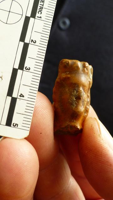 Ein interessanter Grabungsfund: der Kopf einer Schachfigur. | Foto: Ursula Beyer