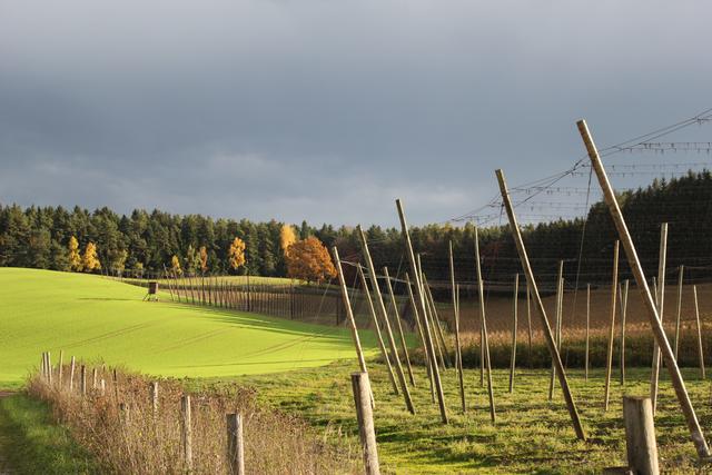 Die Landschaft in und um Pfaffenhofen ist Thema des Zukunftsforums am 13. April.