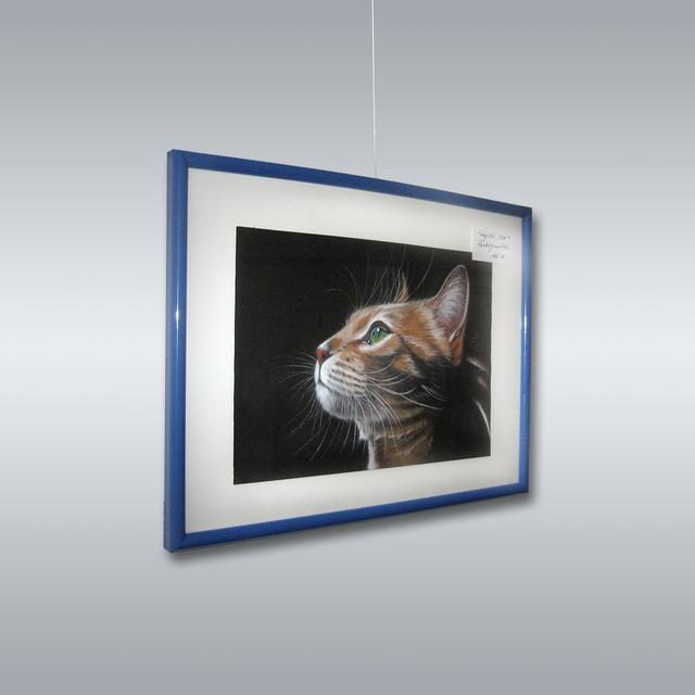 © Andrea Brunner