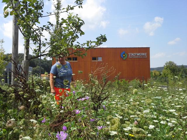 Birgit Bratonozic sorgt für Vielfalt auf der Bienenweide der Stadtwerke