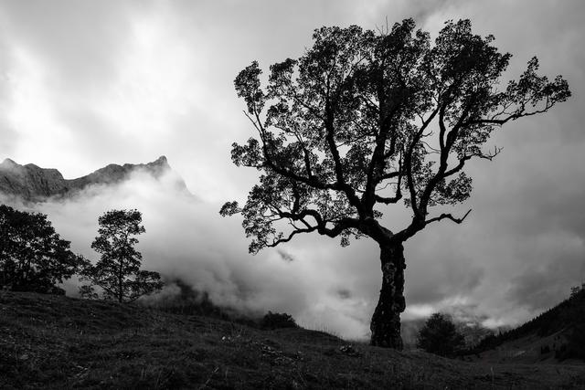 Annahme - mystic mountains - Johannes Leber