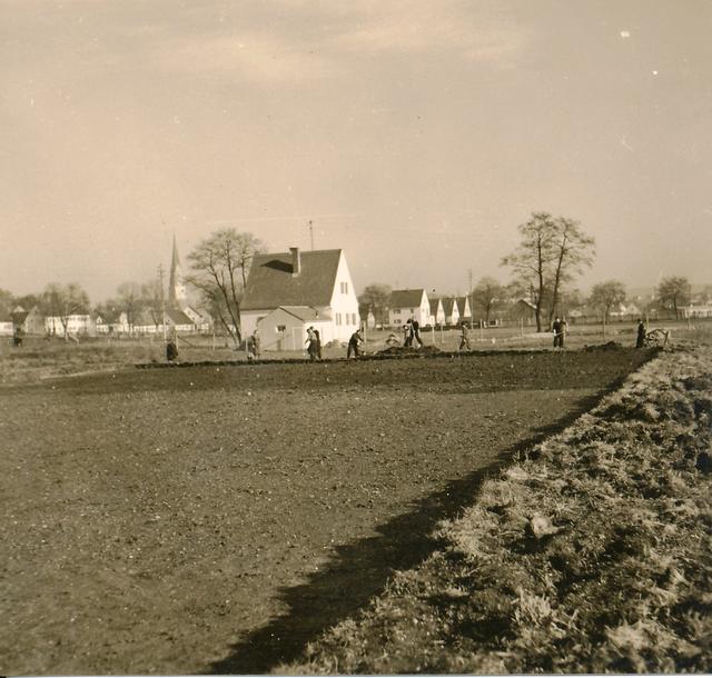 Das Spielgelände nimmt Gestalt an (1950)