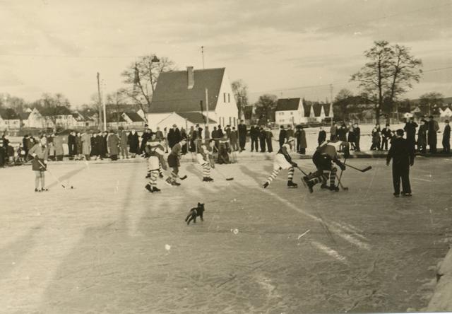 Vierbeinige Verstärkung auf der Eisfläche (1951)