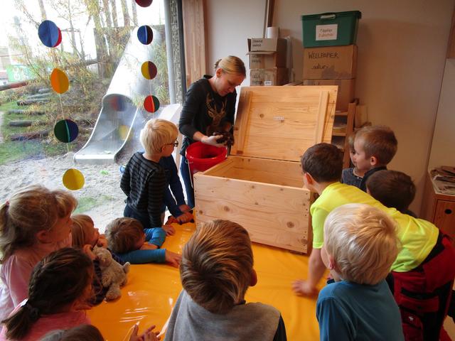 Befüllen einer Wurmkiste in der Kita Ecolino