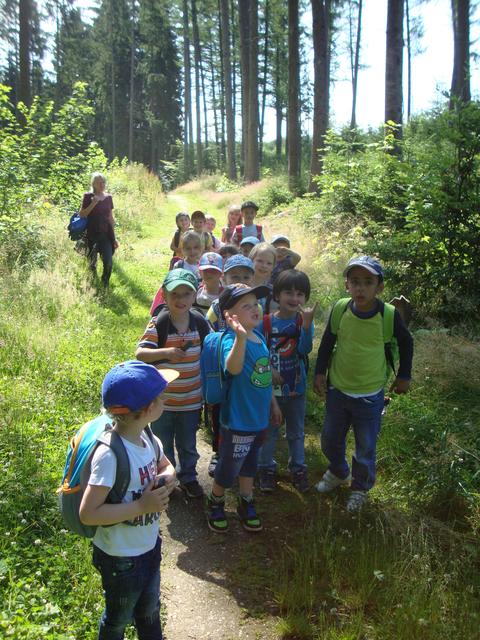 Waldtag der Kita St. Elisabeth