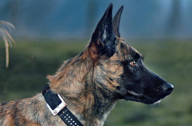 Fotos © Paul Ehrenreich