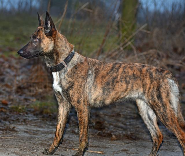 Foto © Paul Ehrenreich