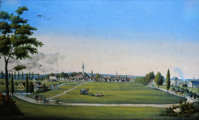 Die Stadt von Süden gesehen mit der vom Bahnhof in die Stadt führenden Baumanlage entlang der Münchener Straße (ca. 1870)