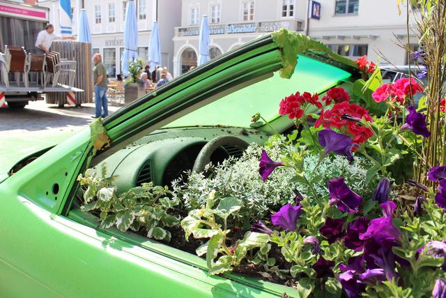 Lenkrad unter Blumenerde