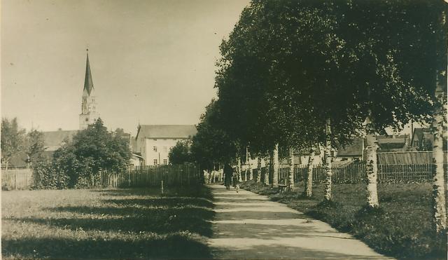 Ein weiteres Projekt zur Aufwertung der Stadt war die 1916 erfolgte Anlage der Birkenallee beim Gabis, womit an die Gefallenen des Ersten Weltkriegs erinnert wurde (undatiert).